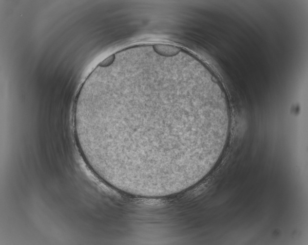 X0000115071382200912081138