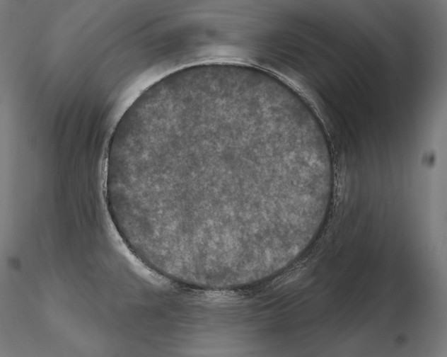 X0000115071383200912081138
