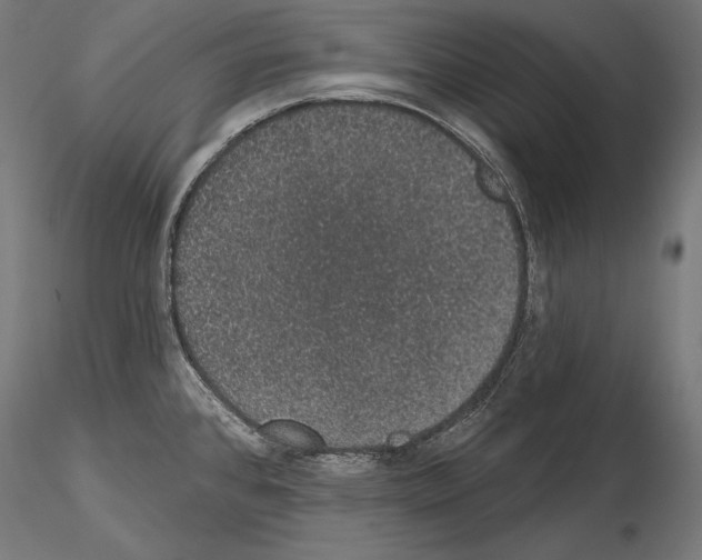 X0000115071384200912081138