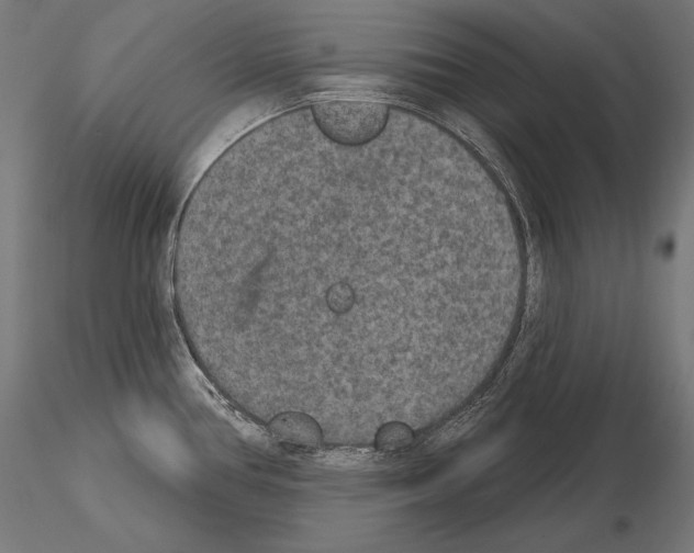 X0000115071386200912081138