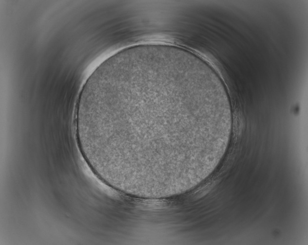 X0000115071387200912081138