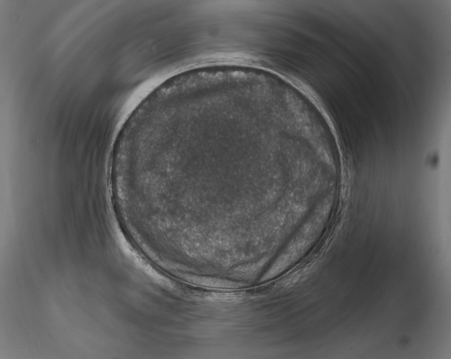X0000115071389200912081138