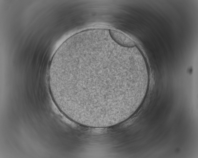 X0000115071390200912081138