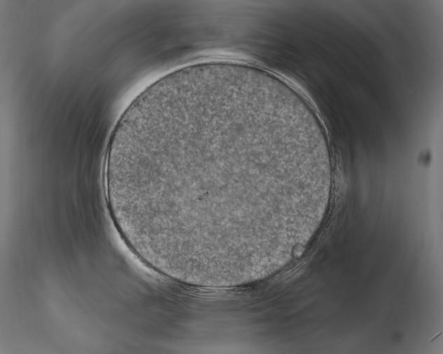 X0000115071391200912081138