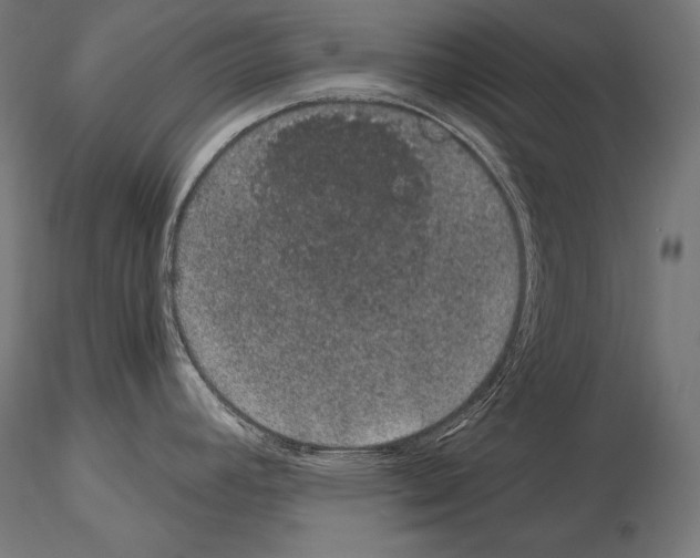 X0000115071392200912081138