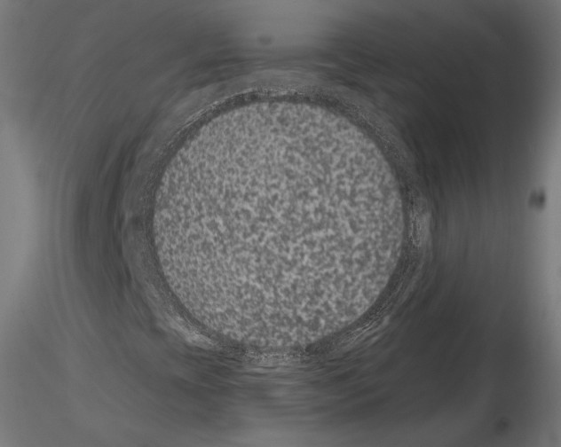 X0000115071393200912081137