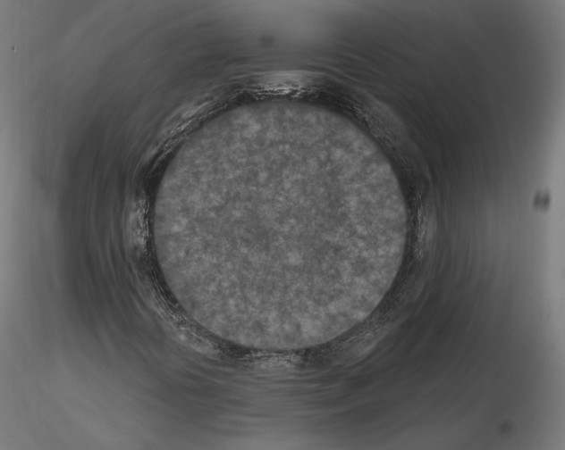 X0000115071394200912081137