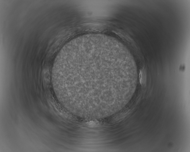 X0000115071395200912081137