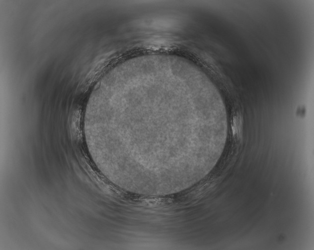 X0000115071396200912081137