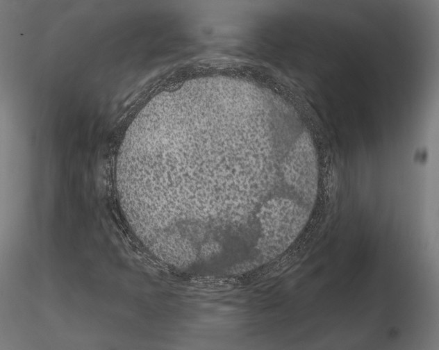 X0000115071397200912081137