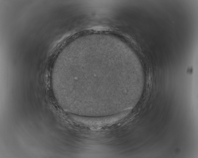 X0000115071398200912081137