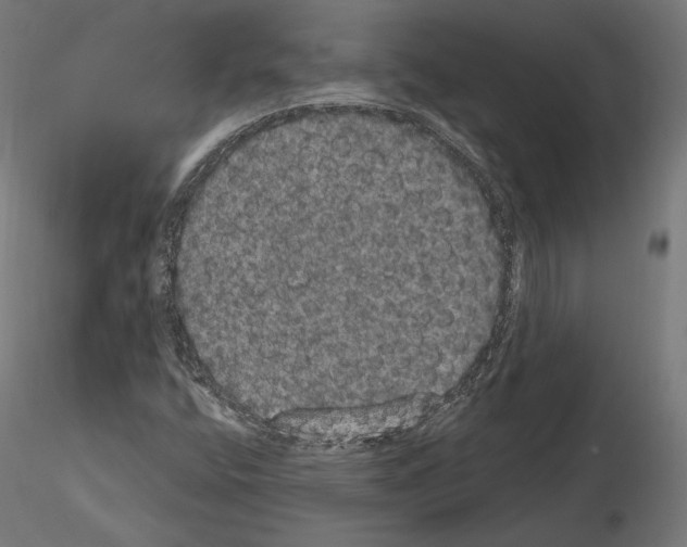 X0000115071400200912081137