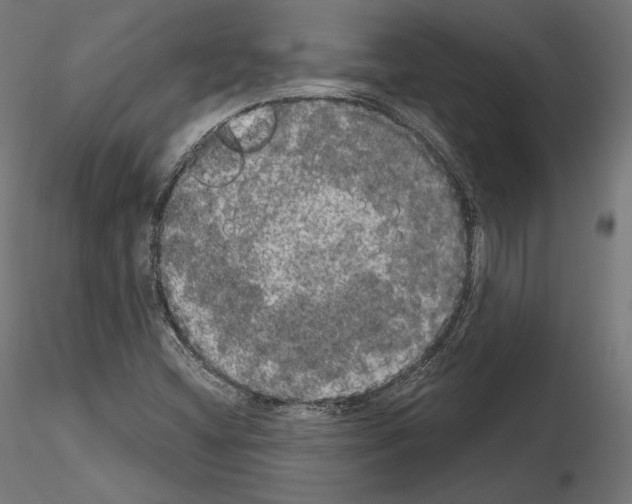 X0000115071404200912081137