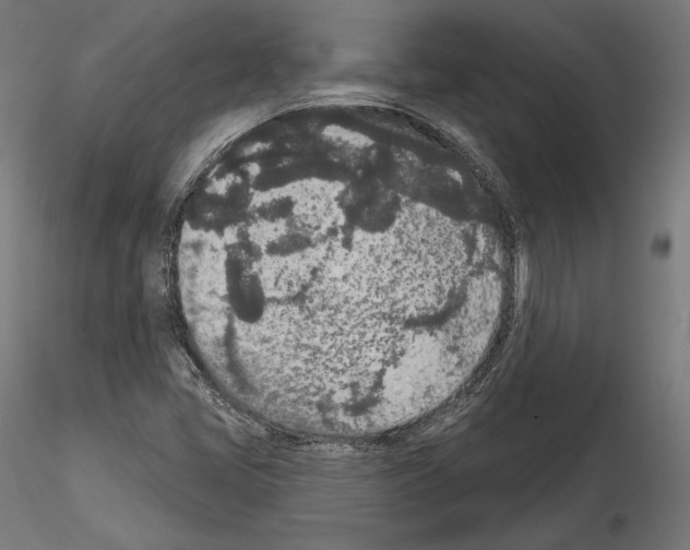 X0000115071405200912081137