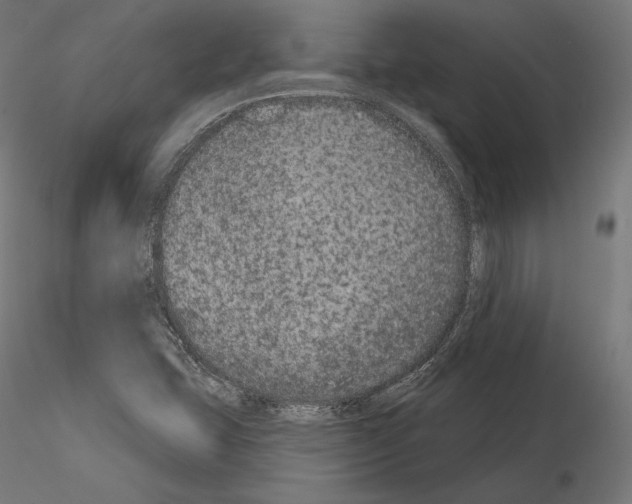 X0000115071407200912081137