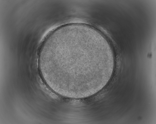 X0000115071408200912081137