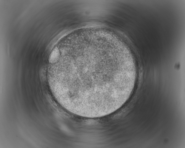 X0000115071409200912081137