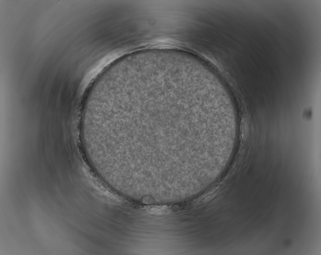 X0000115071410200912081137