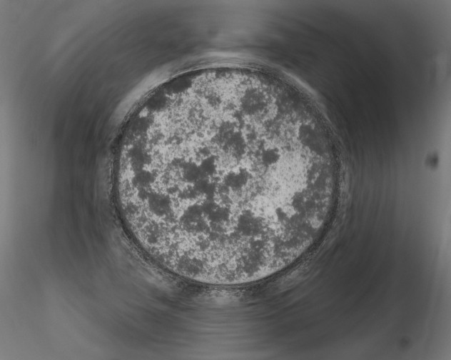 X0000115071411200912081137