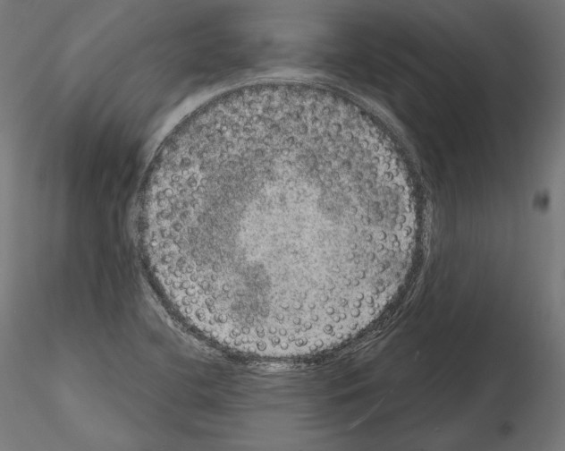 X0000115071412200912081137