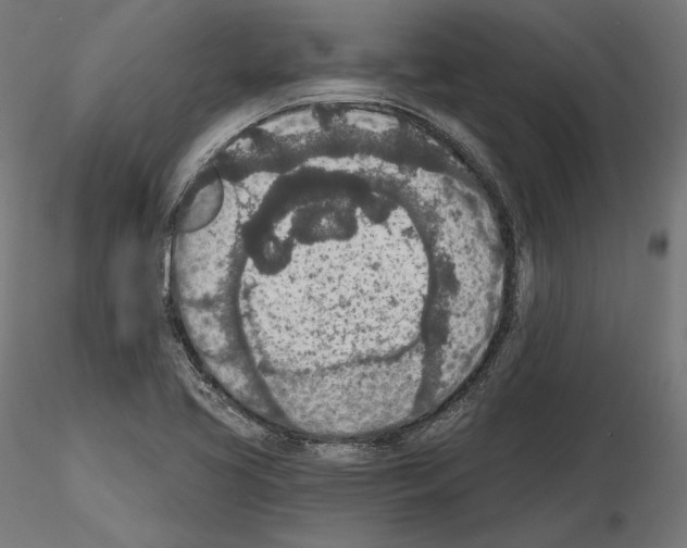 X0000115071413200912081137