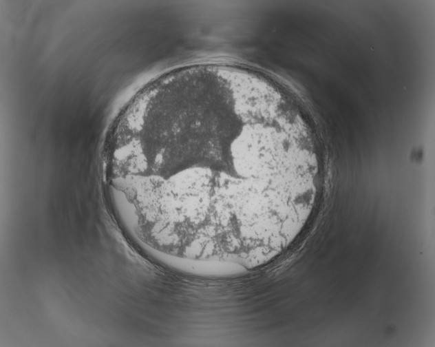 X0000115071414200912081137