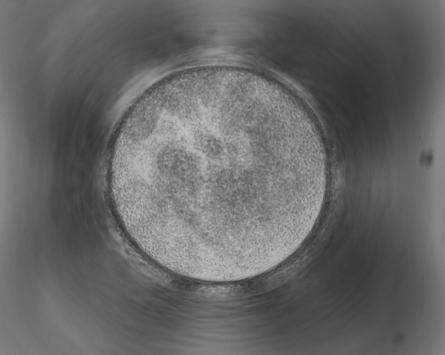 X0000115071415200912081137