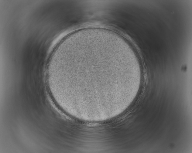 X0000115071416200912081137