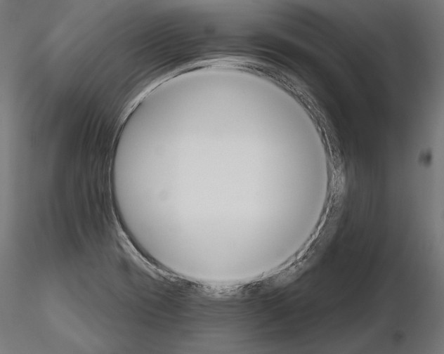 X0000115071417200912081137