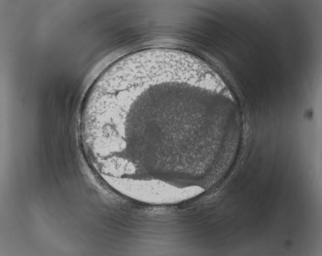 X0000115071418200912081137