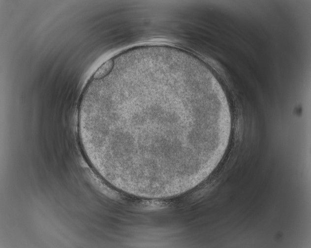 X0000115071420200912081137