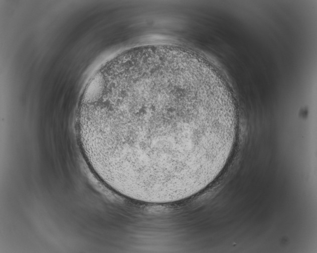 X0000115071421200912081137
