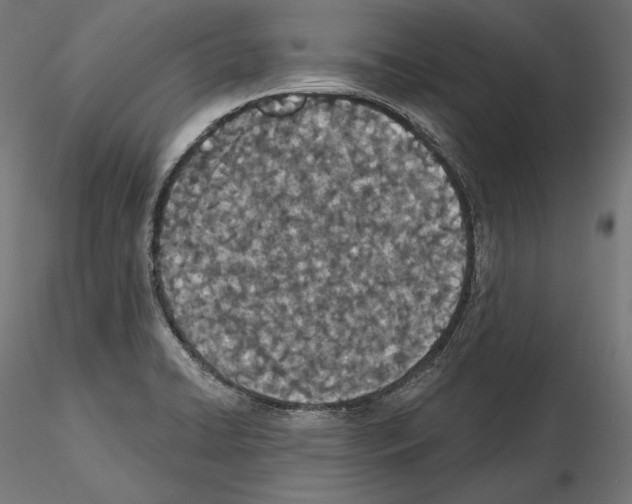 X0000115071422200912081137