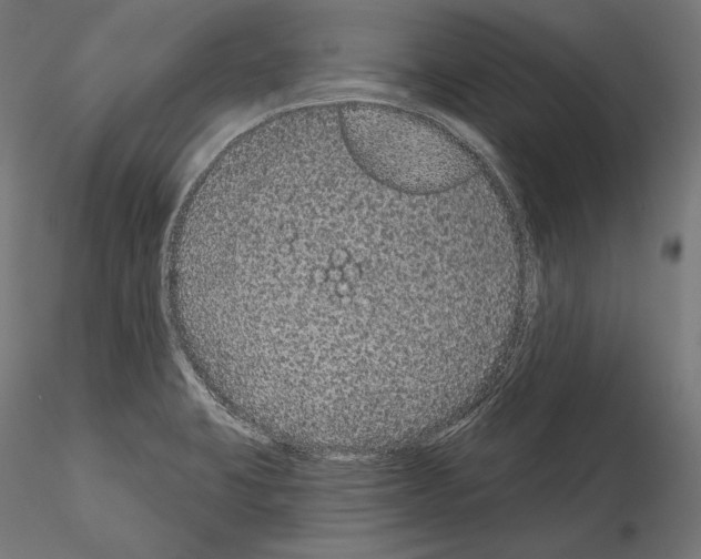 X0000115071423200912081137