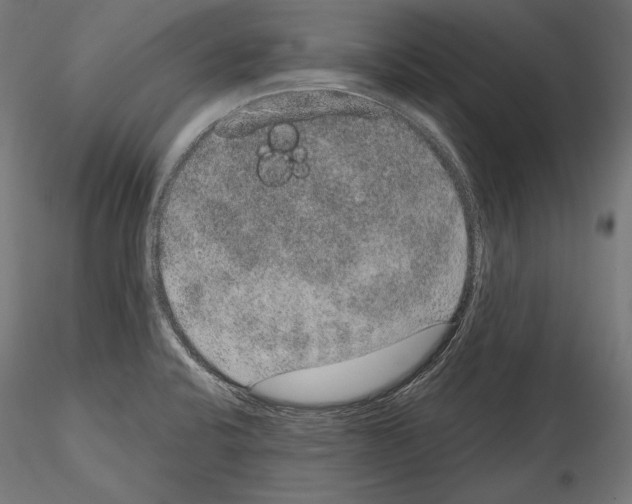X0000115071424200912081137