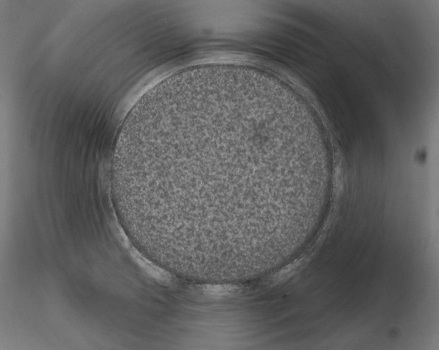 X0000115071425200912081137