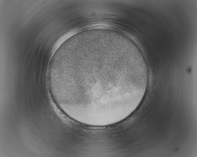 X0000115071426200912081137
