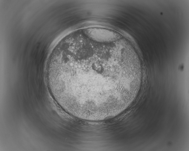 X0000115071427200912081137