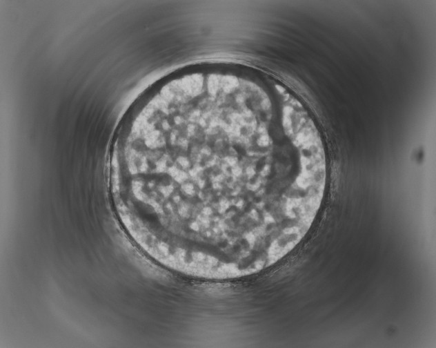 X0000115071428200912081137