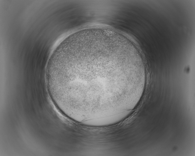X0000115071430200912081137