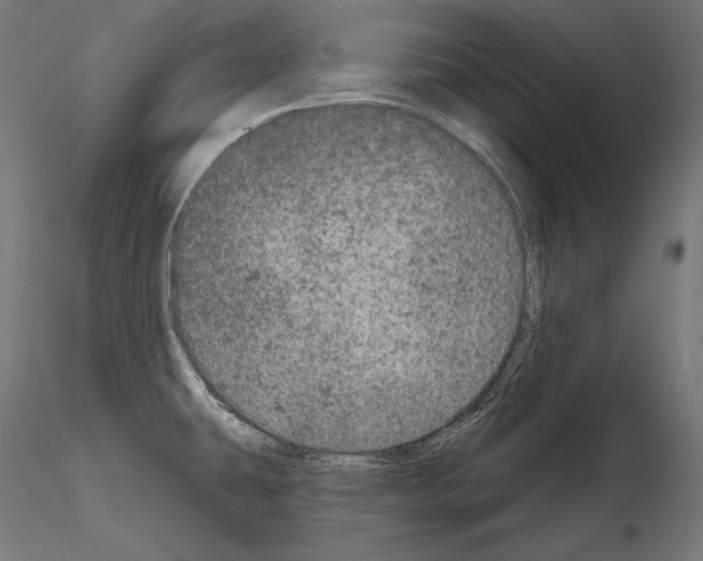 X0000115071431200912081137