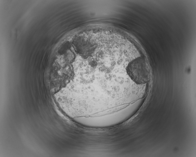 X0000115071433200912081137