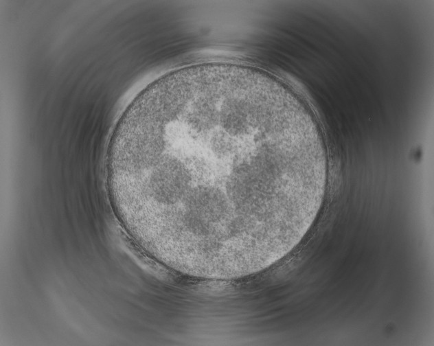 X0000115071435200912081137