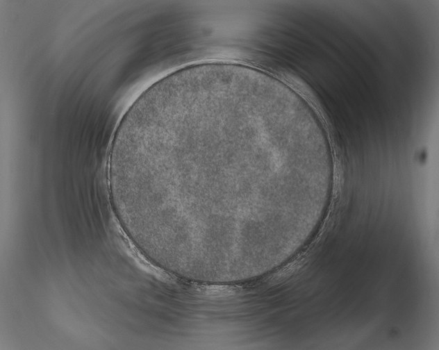 X0000115071436200912081137