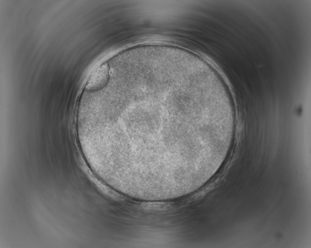 X0000115071437200912081137