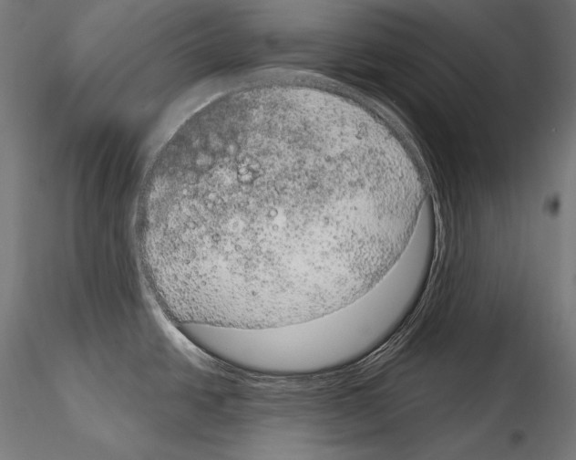 X0000115071438200912081137