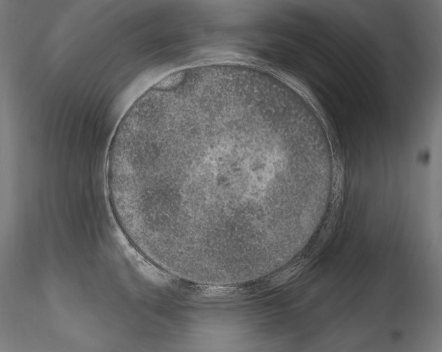X0000115071439200912081137