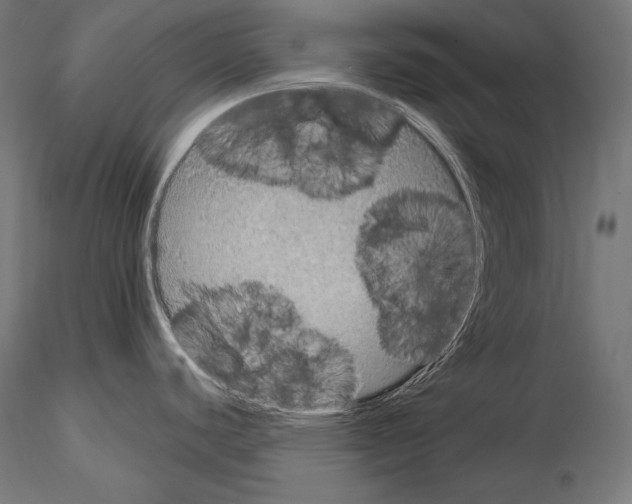 X0000115071440200912081138