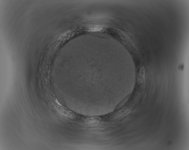 X0000115071441200912081137
