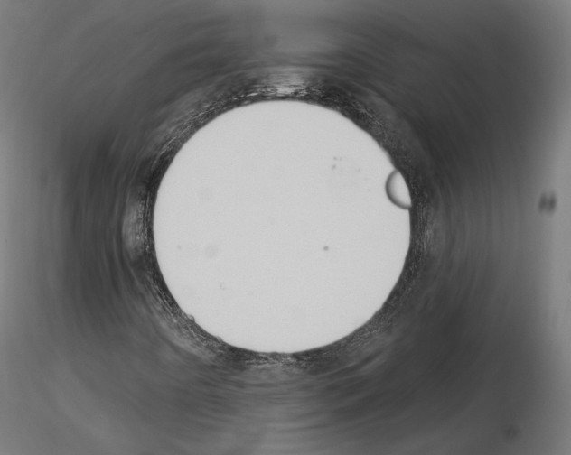 X0000115071442200912081137